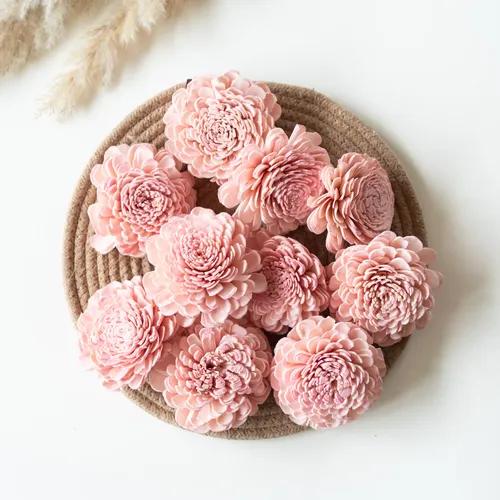 Blush Pink Sola Belly Flower 8 cm (Pack of 10)