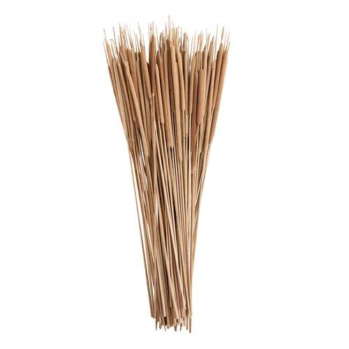 Reed Spadix (Pack of 20)