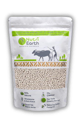 NutriEarth White Soya Bean - 500 g