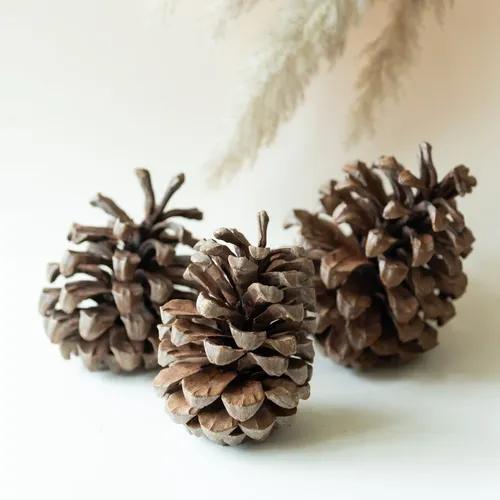 Jumbo Pine Cone (Set of 3)